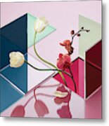 Conceptual Still Life Of Flowers And Reflections Metal Print
