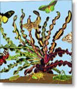 Corkscrew Plant And Butterflies Metal Print