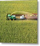 Corn Harvest 3 Metal Print