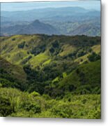 Costa Rica Greens Metal Print