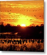 Cosumnes River Preserve Waterfowl Sunset Metal Print