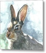Cottontail Rabbit Metal Print