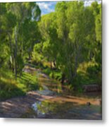 Cottonwoods Along The San Pedro River, Arizona, Usa Metal Print