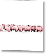 Counting Pink Sheep For Girls Room Metal Print