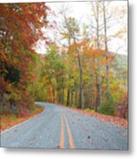 Country Road Metal Print