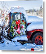 Covered In Snow Metal Print