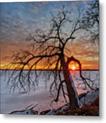 Cradled - Sunset Framed By Cottonwood Tree On Lower Yahara River Trail At Lake Waubesa Metal Print