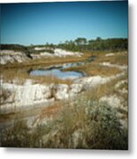 Created By Nature Metal Print