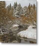 Creek After The Storm, El Dorado National Forest, California, Usa Metal Print