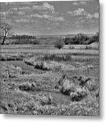 Creek And Flying Swallows In Black And White Metal Print