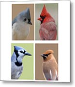 Crested Birds Metal Print