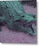 Crocodile In Infrared Metal Print