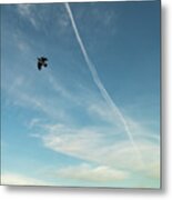 Crow And Plane In Cool Flight Metal Print