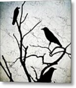 Crow Birds On Tree Bird 91 Metal Print