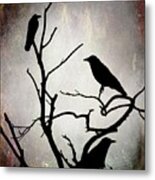 Crow Birds On Tree Bird 92 Metal Print