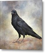 Crow Raven Bird 88 Metal Print