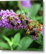 Crowded Table Metal Print