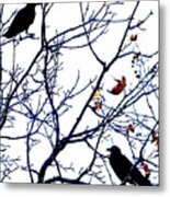 Crows Branching Metal Print