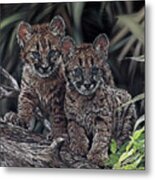 Curious Cubs Metal Print