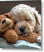 Cute Maltipoo Puppy Sleeping With His Teddy Bear Metal Print