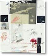 Cy Twombly, Natural History Metal Print