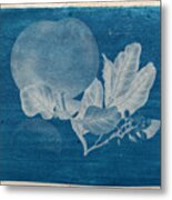 Cyanotype Photo Of A Plant - 3 Metal Print