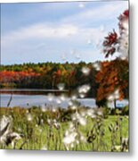 Cycle Of Life On An Autumn Wind Metal Print