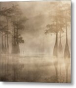 Cypress In Fog Metal Print