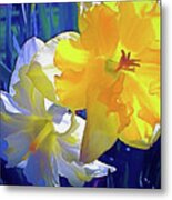 Daffodils 1 Metal Print