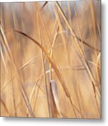 Dancing Seagrass Metal Print