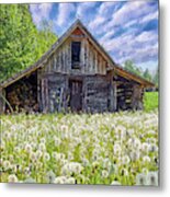 Dandelions Guarding The Barn Metal Print