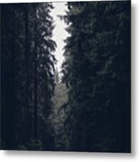 Dark Atmosphere In Forest. Forgotten Road In Rainy Day Metal Print