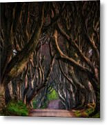 Dark Hedges #2 Metal Print