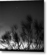 Daybreak In The Campo Metal Print