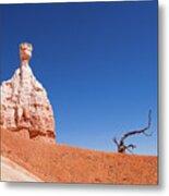 Dead Tree And Hoodoo In Bryce Canyon National Park Metal Print