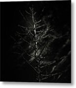 Dead Tree Metal Print