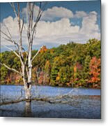 Dead Tree Stickup On Hall Lake Metal Print