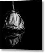 Decaying Beauty Metal Print