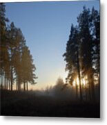 December Sunset Metal Print