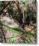 Deep Woods Overhead Creek Metal Print