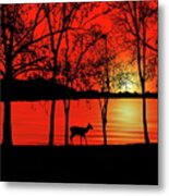 Deer At Sunset Metal Print