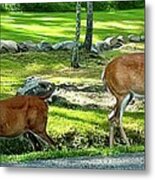 Deer Crossing Metal Print