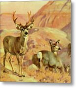Deer In Montana Metal Print