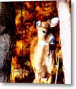 Deer In The Woods Metal Print