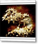 Delicate Modern Flowers Metal Print