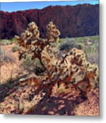 Desert Cacti Nevada Metal Print