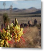 Desert Flowers Metal Print