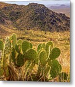 Desert Landscape Metal Print