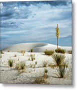 Desert Sandbox Metal Print