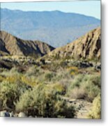 Desert Scene 6 Coachella Valley Wildlife Preserve Metal Print